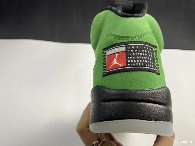 Cheap 5 SE Jordan Ducks Air CK6631-307 Oregon 0521